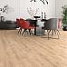 Ламинат Alpine Floor by Camsan Legno Extra L 1002 - фото №1