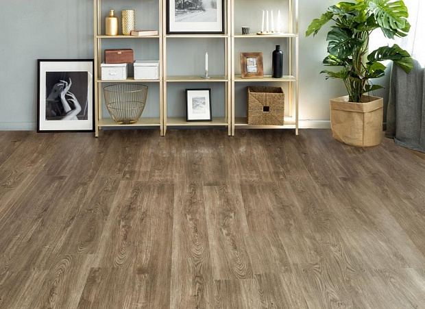 SPC-ламинат Alpine Floor Sequoia ЕСО 6-12