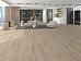 SPC-ламинат Alpine Floor Premium XL ECO 7-24 MC - фото №1