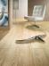 Ламинат Homflor by Alpine Floor Strong Canaries Oak 621 - фото №1