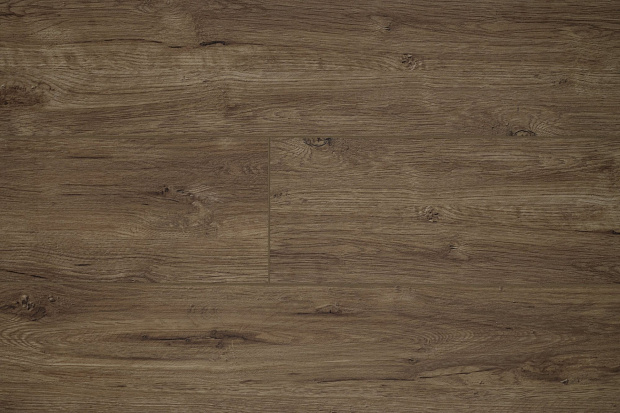 SPC-ламинат Damy Floor Family 248-8 Дуб Имбирный