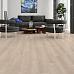 Ламинат Alpine Floor by Camsan Premium Р 1000 - фото №3
