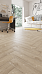 SPC-ламинат Alpine Floor Parquet Premium ECO 19-20 MC - фото №4
