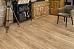 Кварц-винил Alpine Floor Grand Sequoia LVT ECO 11-502 - фото №1