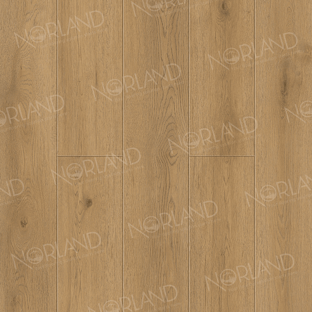 SPC-ламинат Norland Sigrid Plus 1006-10
