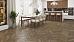Кварц-винил Alpine Floor Chevron Alpine LVT ECO 20-4 - фото №1