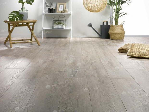 Ламинат Homflor Distingo 536